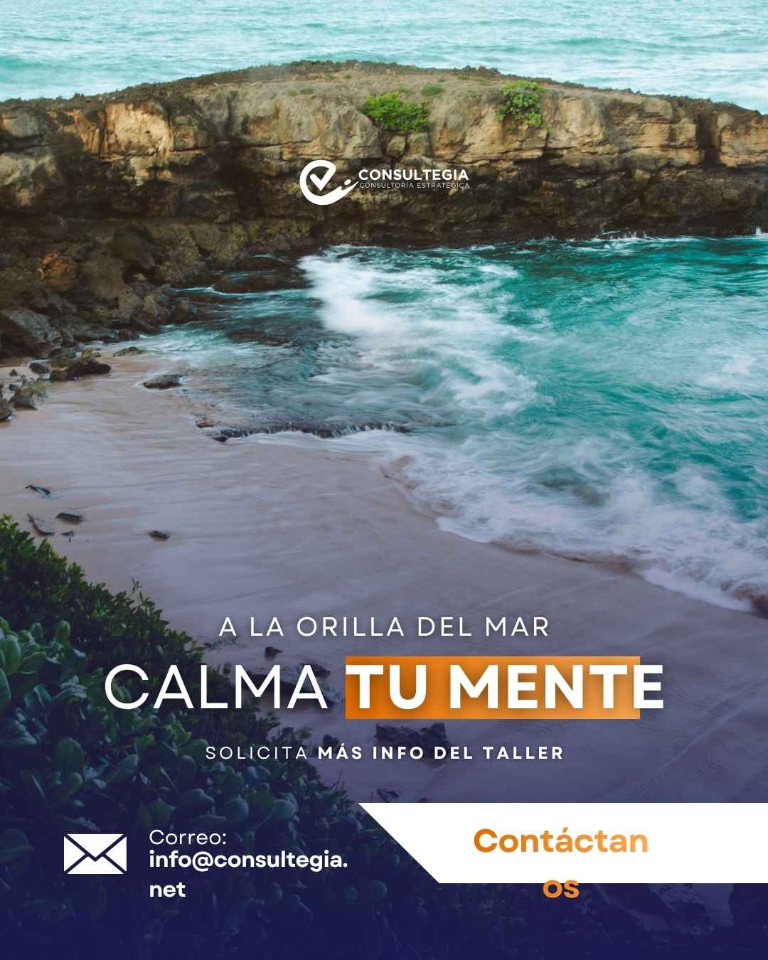 Instagram post created for Consultegia
