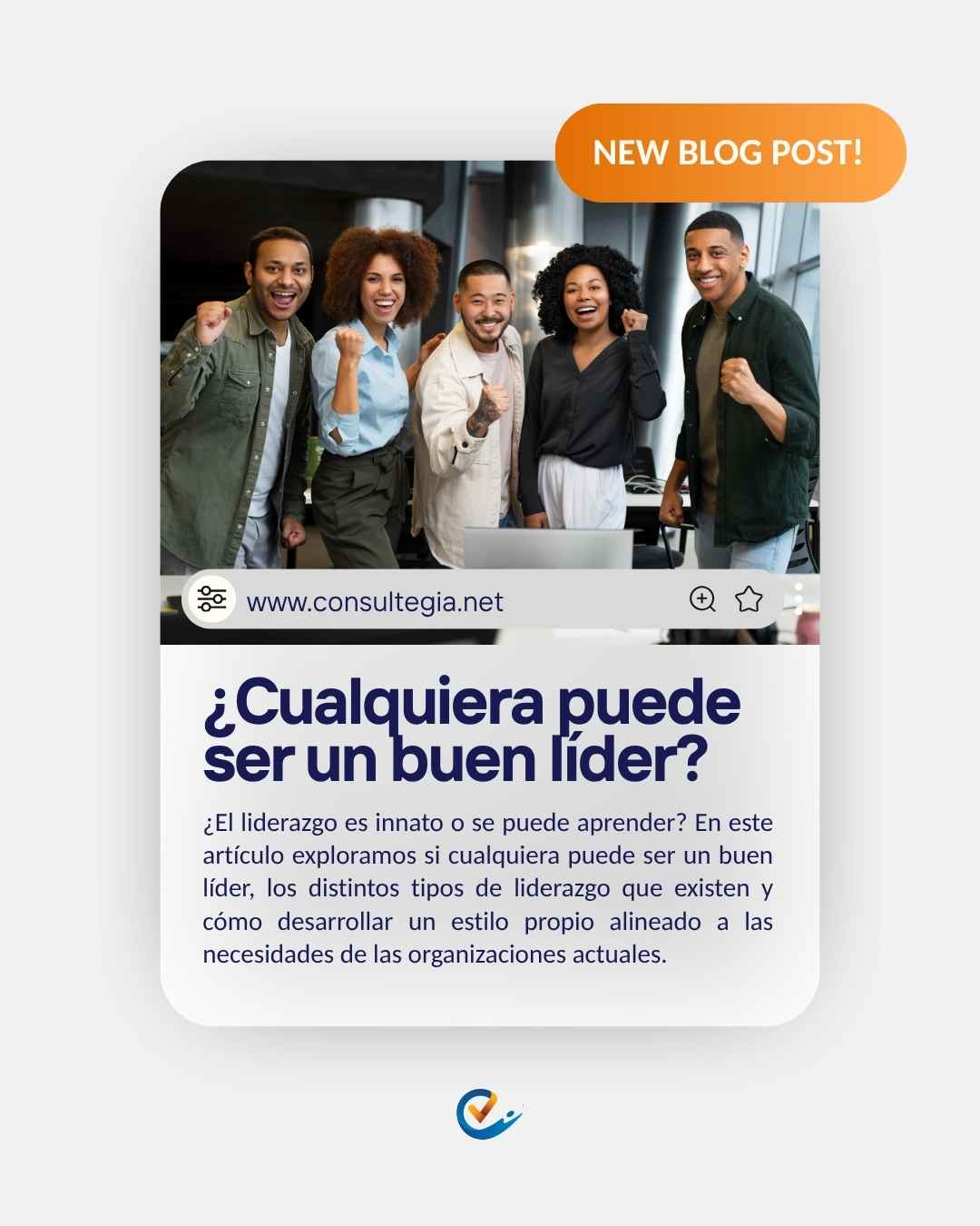 Instagram post created for Consultegia