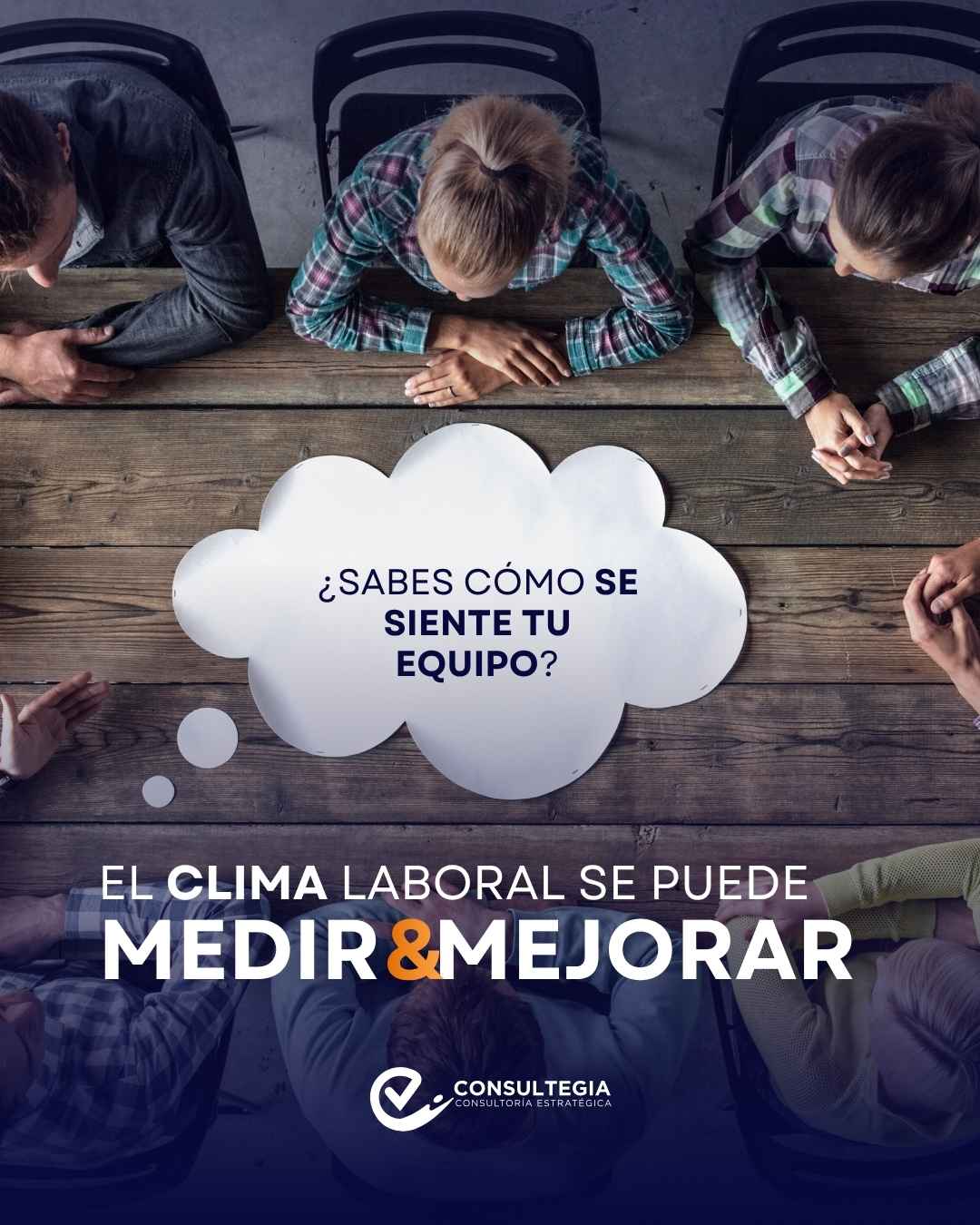 Instagram post created for Consultegia