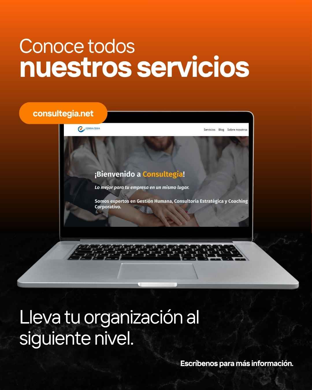 Instagram post created for Consultegia