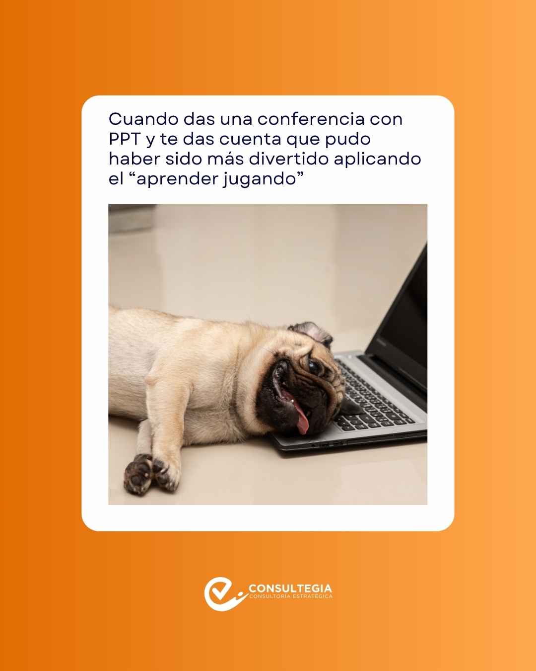 Instagram post created for Consultegia