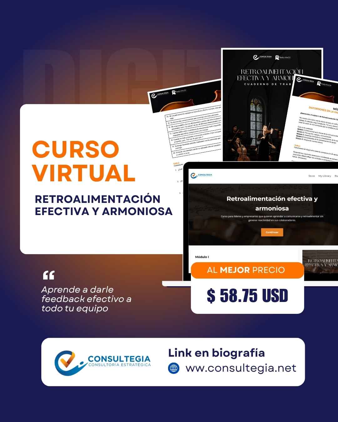 Instagram post created for Consultegia