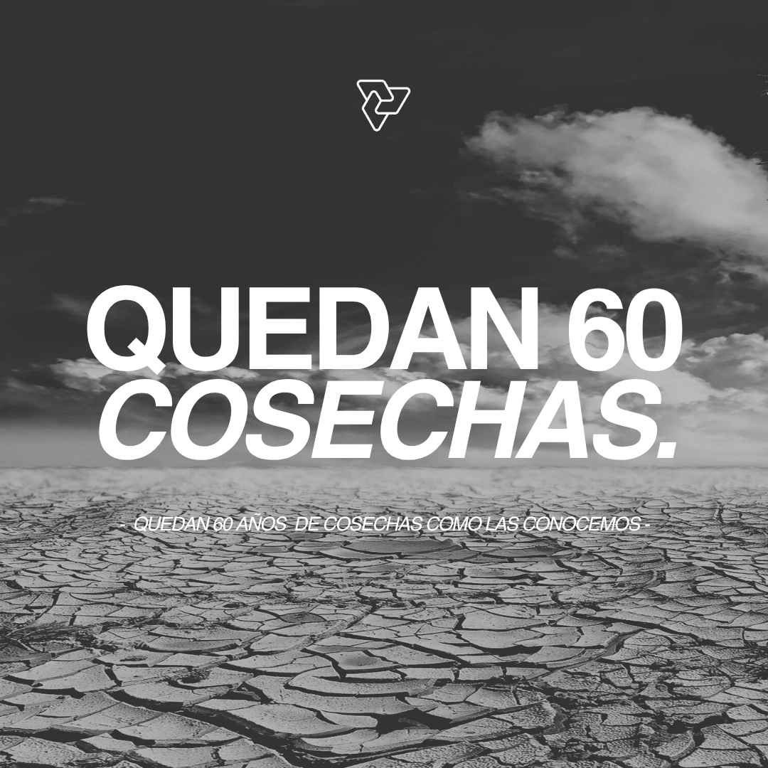 Instagram post created for Poliédrica