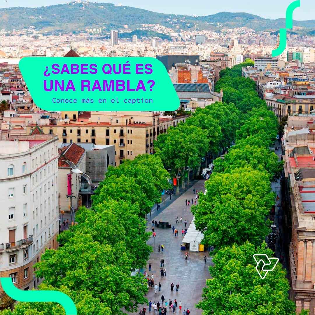 Instagram post created for Poliédrica