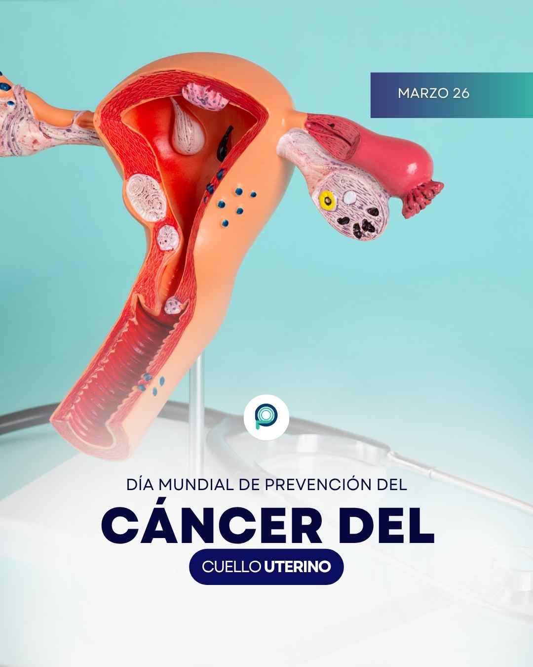 Instagram post created for Pro Imágenes