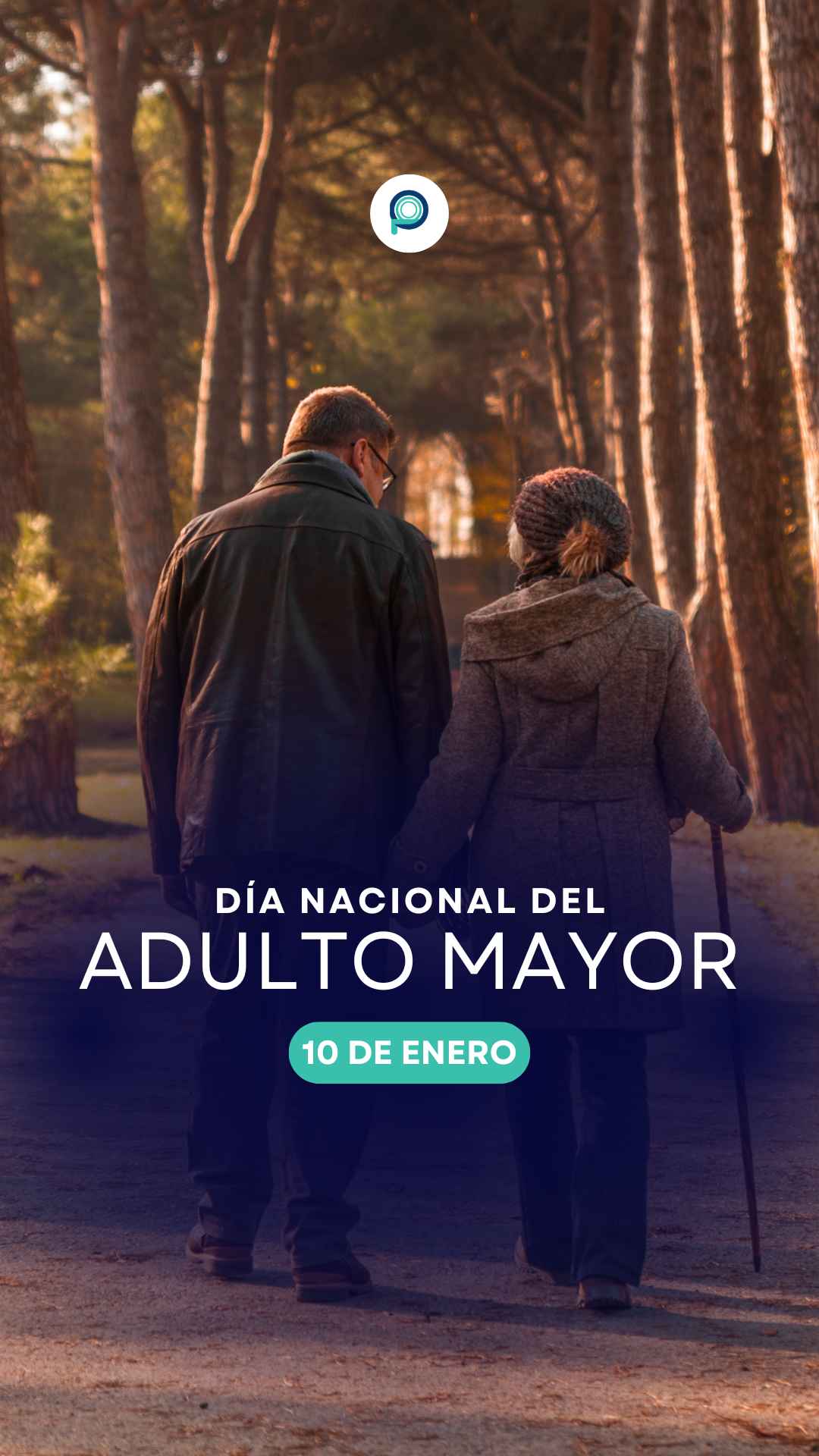 Instagram story created for Pro Imágenes