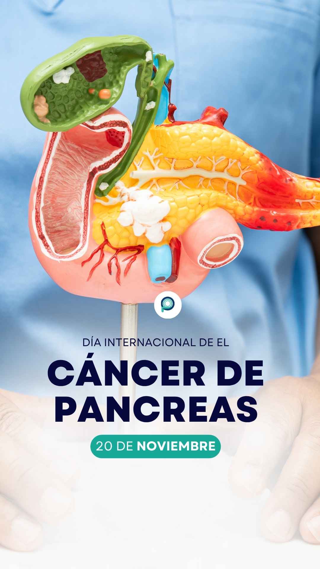 Instagram story created for Pro Imágenes