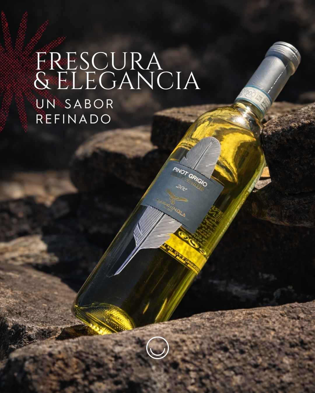 Instagram post created for Vinoteca