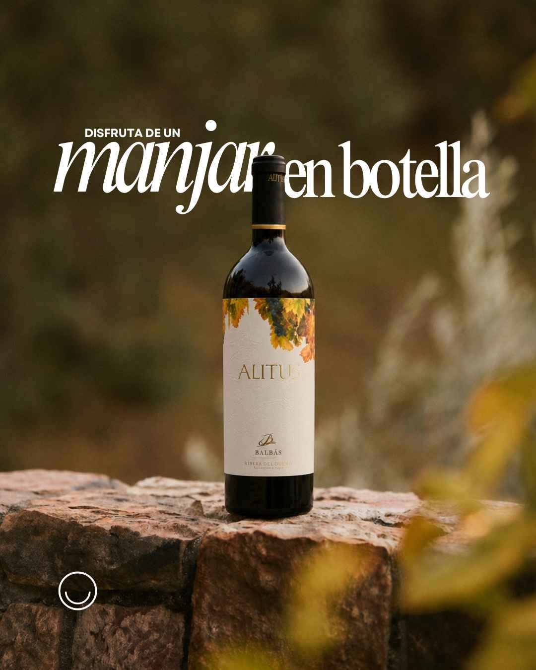 Instagram post created for Vinoteca