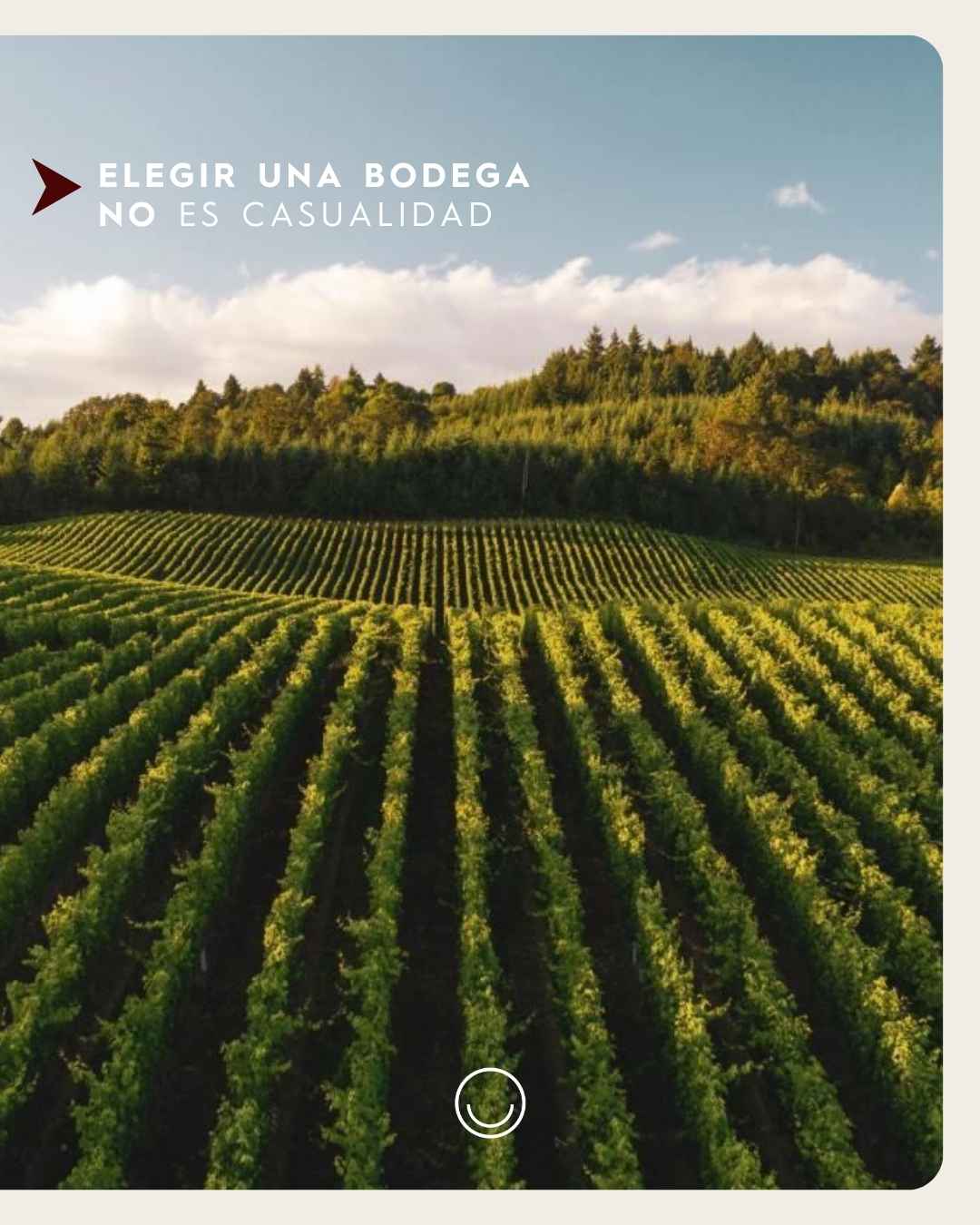 Instagram post created for Vinoteca