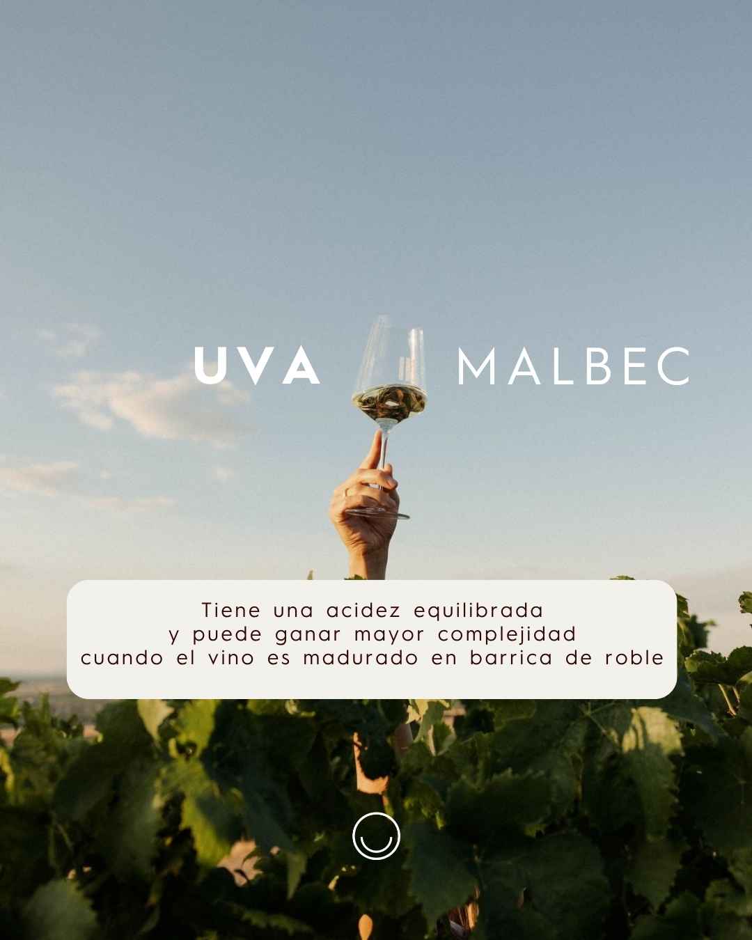 Instagram post created for Vinoteca