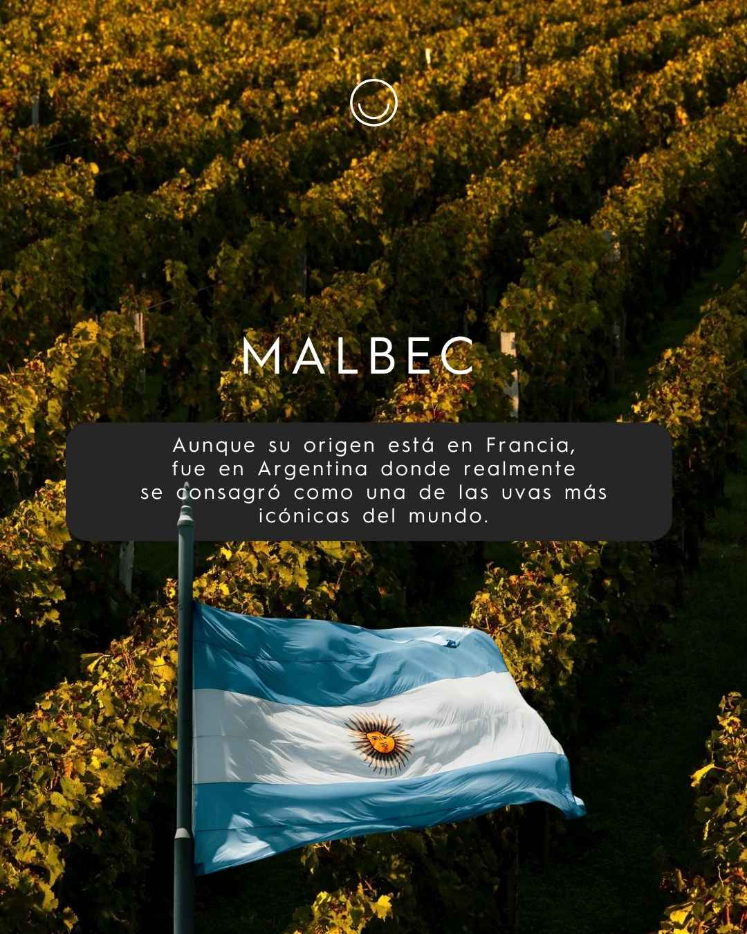 Instagram post created for Vinoteca