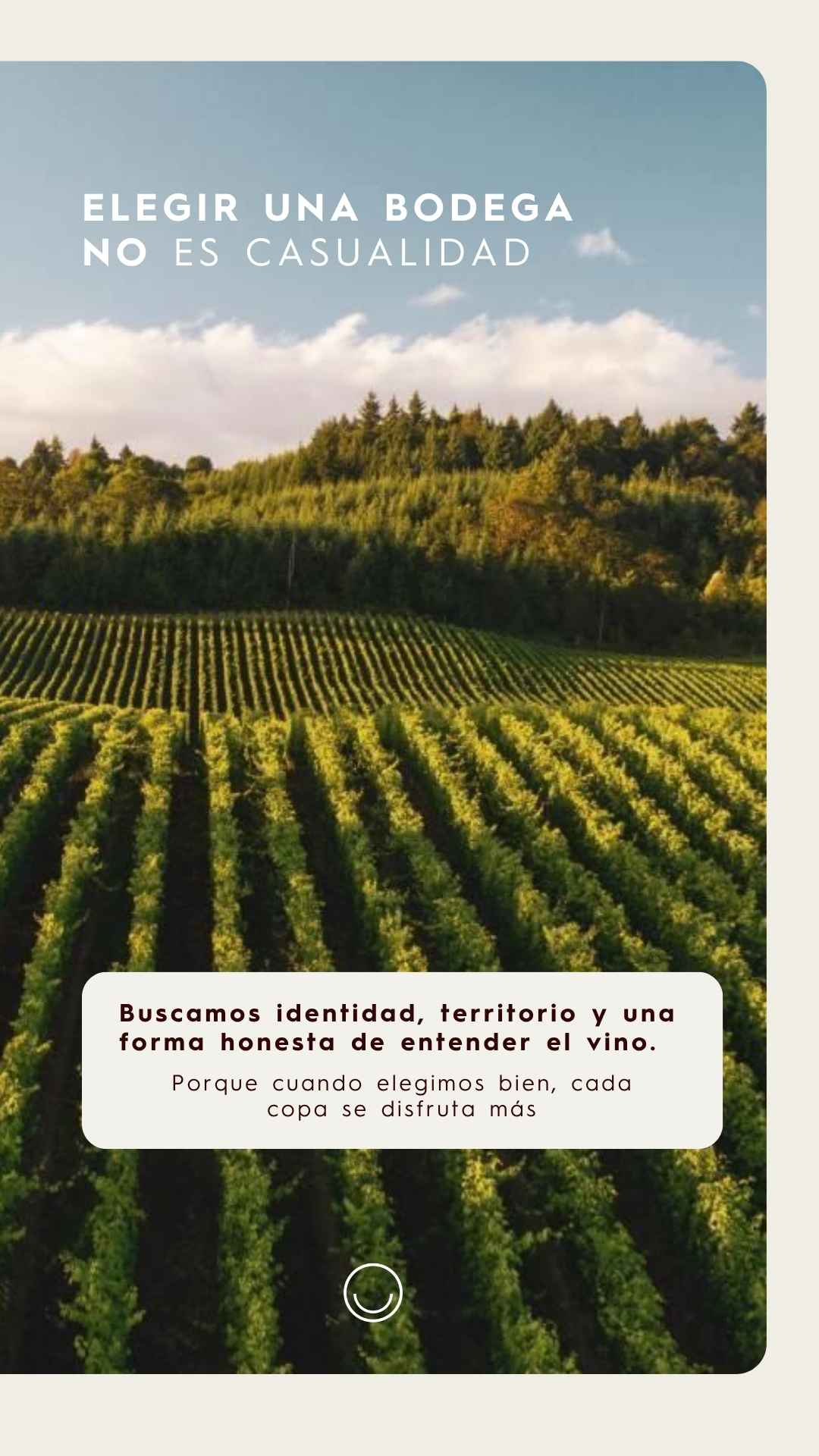 Instagram story created for Vinoteca